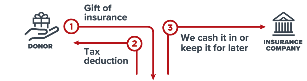 Gift of Life Insurance Diagram